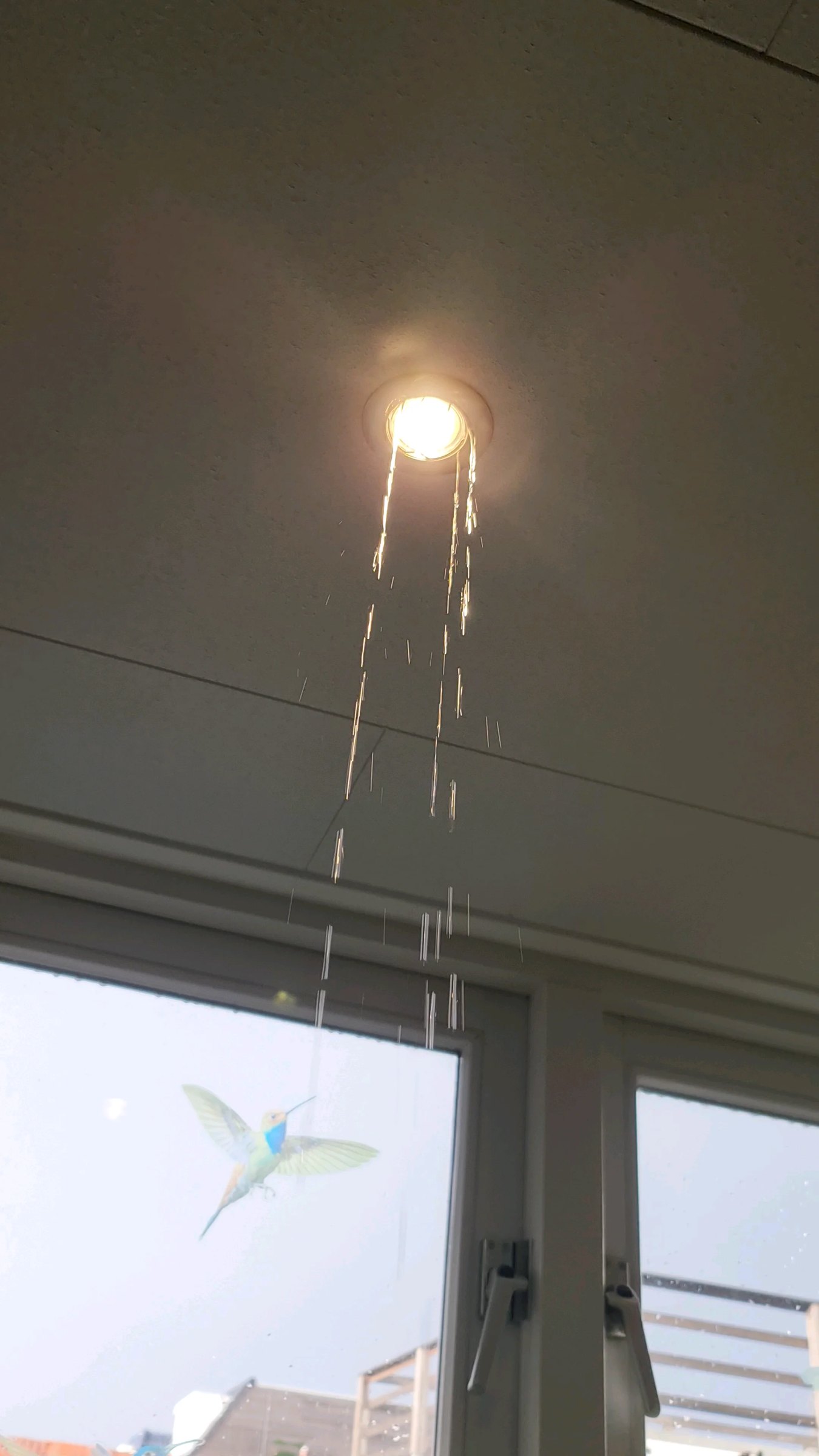 Water Damage in Manchester